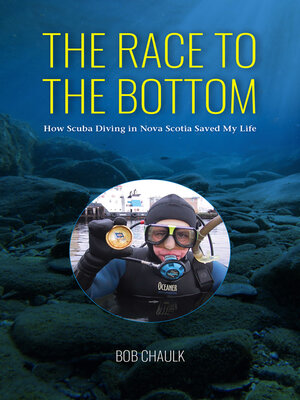 cover image of The Race to the Bottom